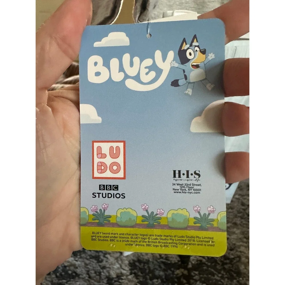 Bluey little fans